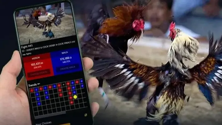 Bí Quyết Thắng Lớn Đá Gà MU88 Không Thể Bỏ Lỡ