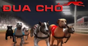 Cách Chơi Game Nhanh Đua Chó Tại MU88 Hấp Dẫn Nhất